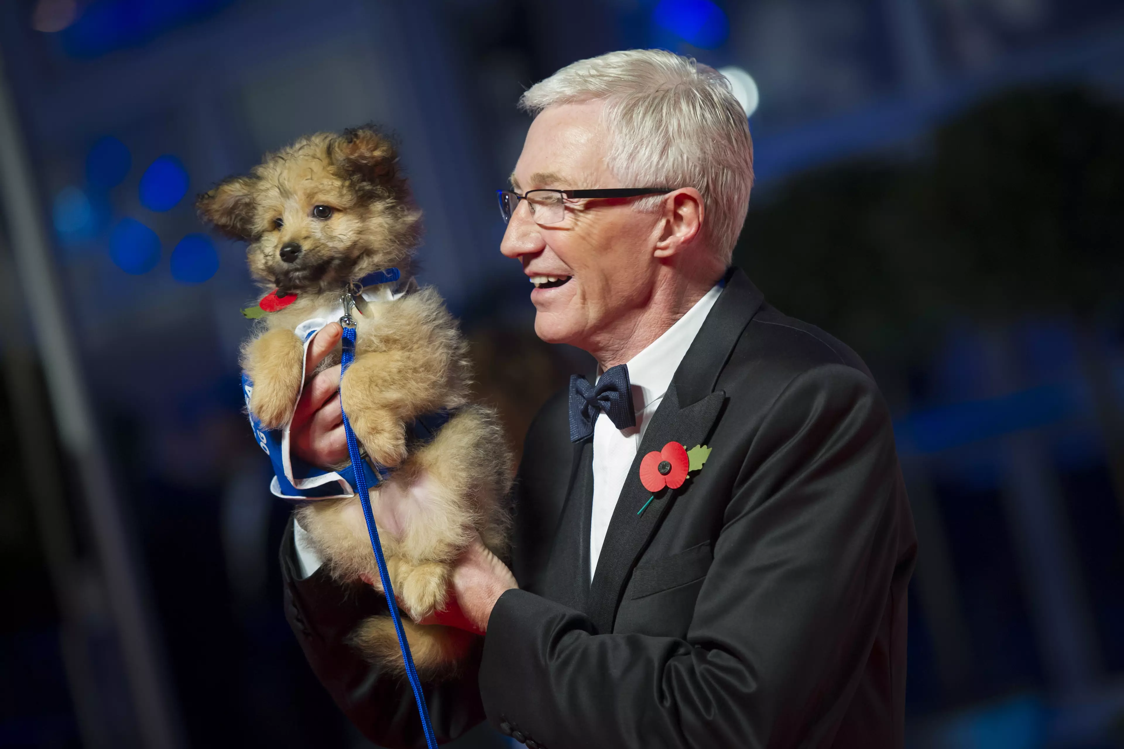 O'Grady is an ambassador for Battersea Dogs & Cats Home.