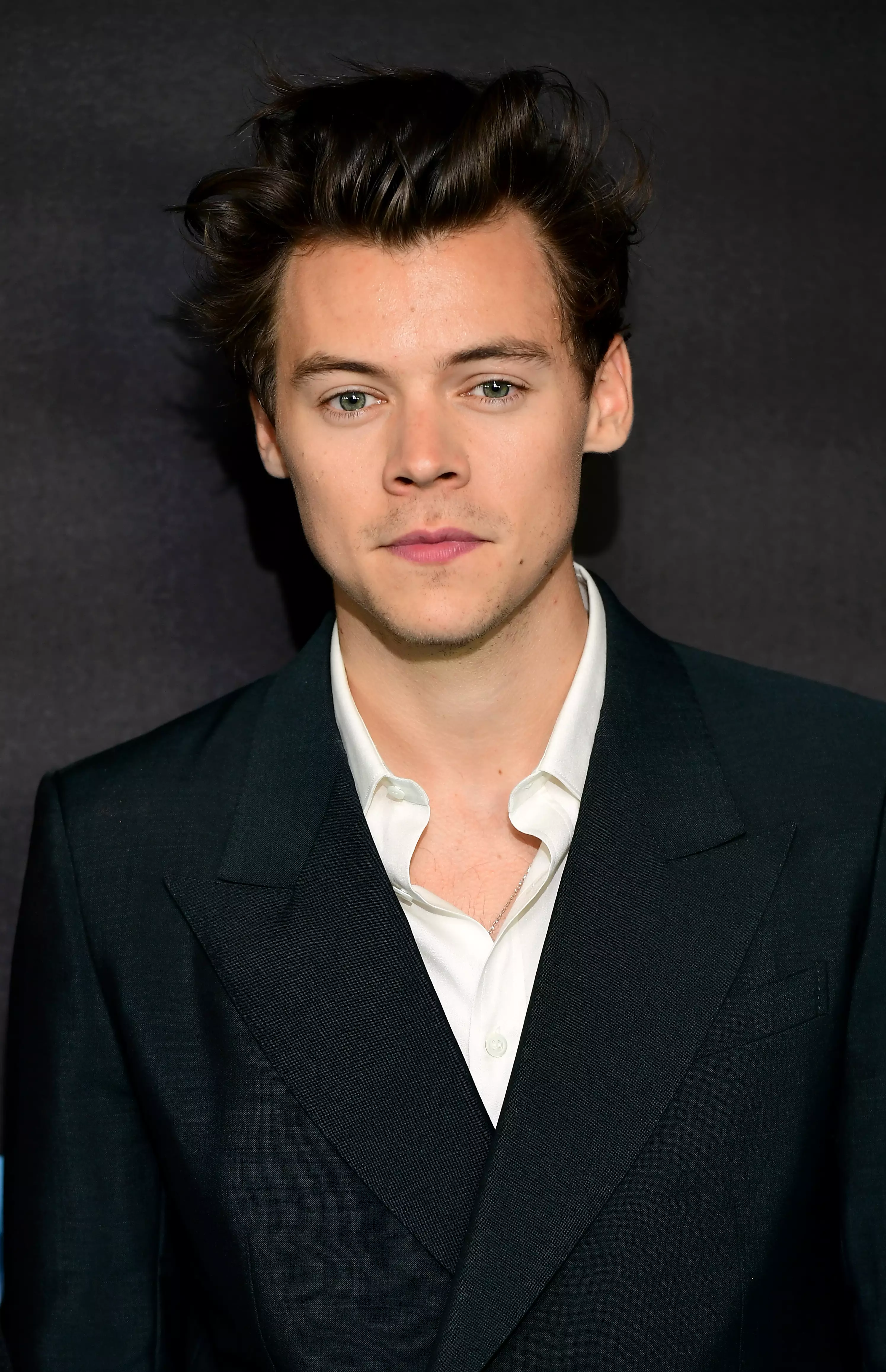 Harry Styles confirmed last week that he had turned down the role. (