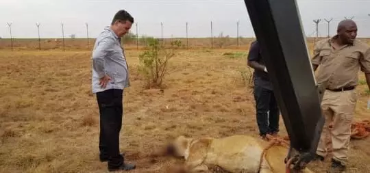 The previous muti lion killings at the reserve.