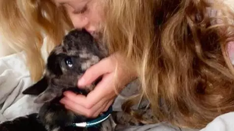 Katie Price's Daughter's New Puppy Has Died