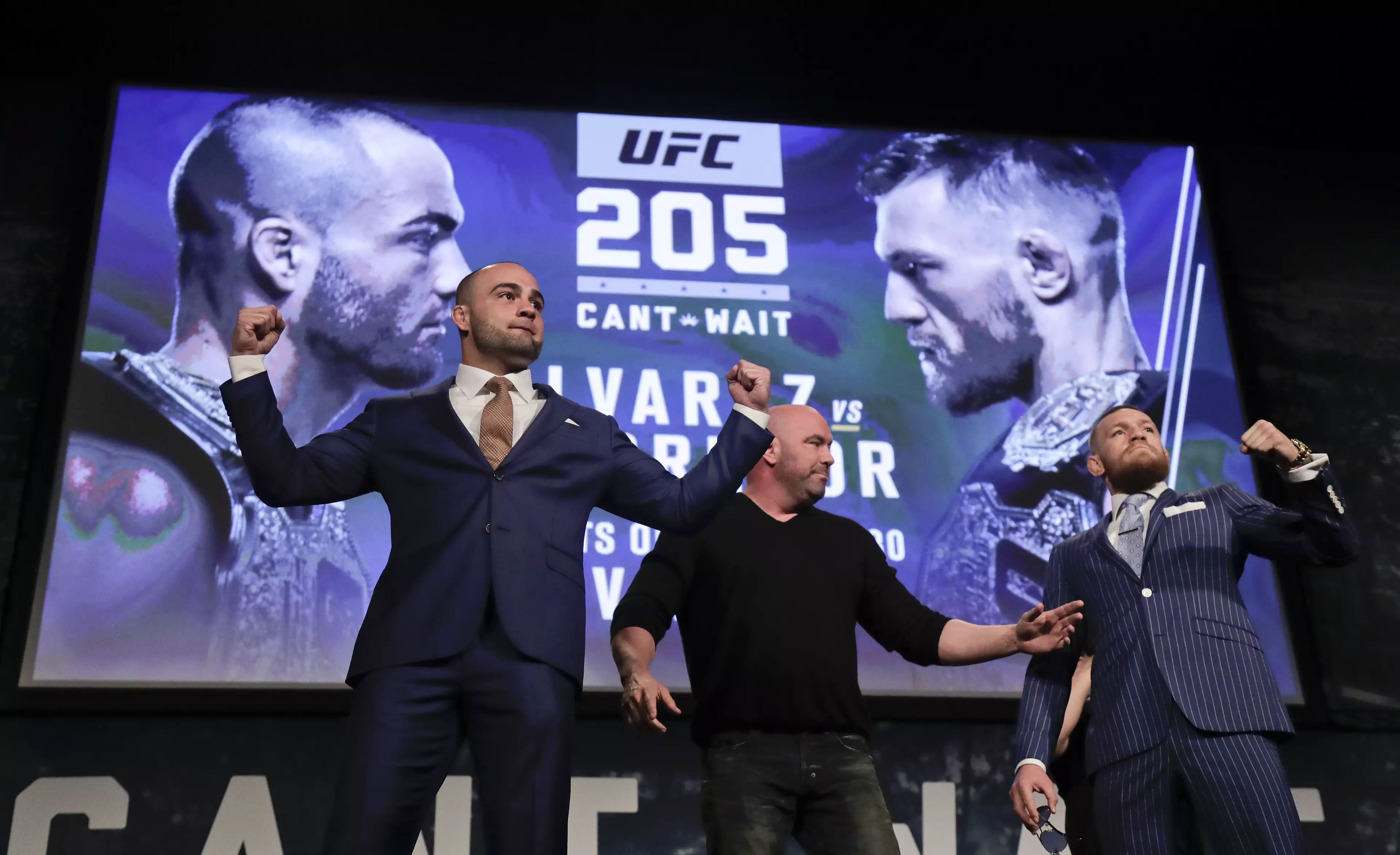A Fan Is Paying An Absolute Fortune To Buy Two UFC 205 Tickets