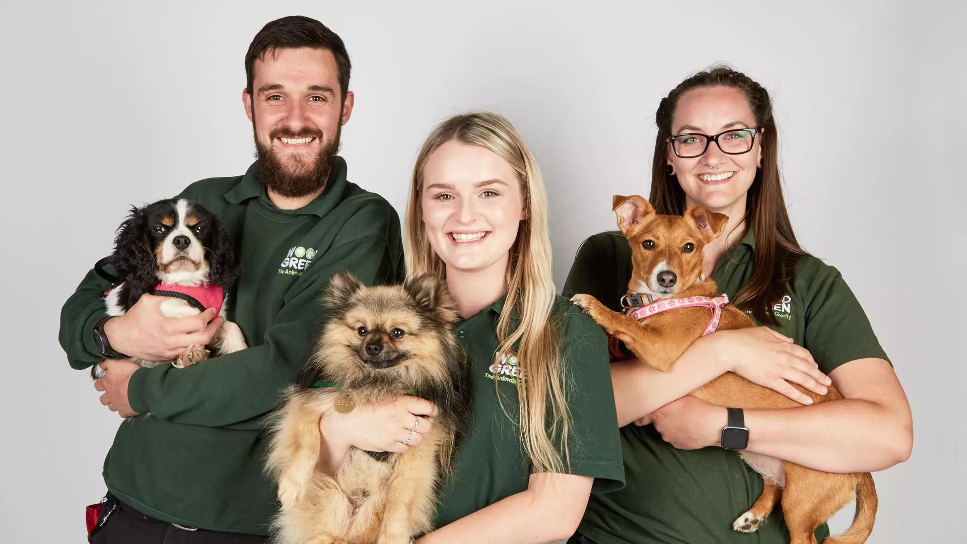 The centre helps hundreds of dogs (