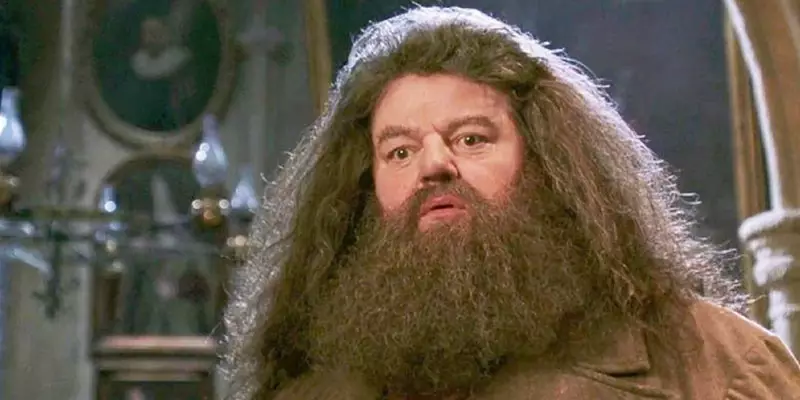 Hagrid placed third (