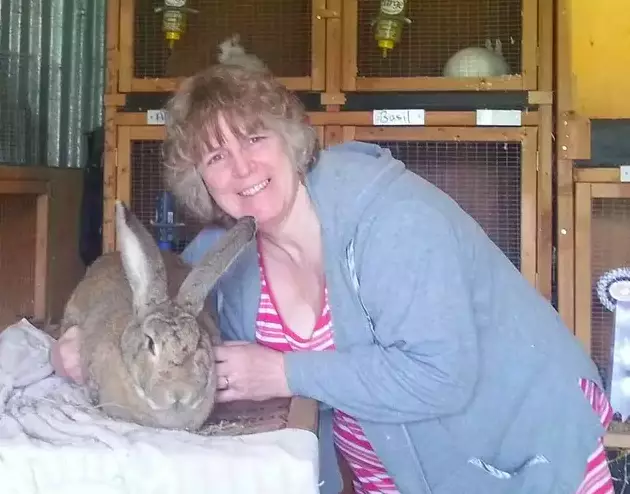 Donna Pilgrim also lost her rabbit last year (