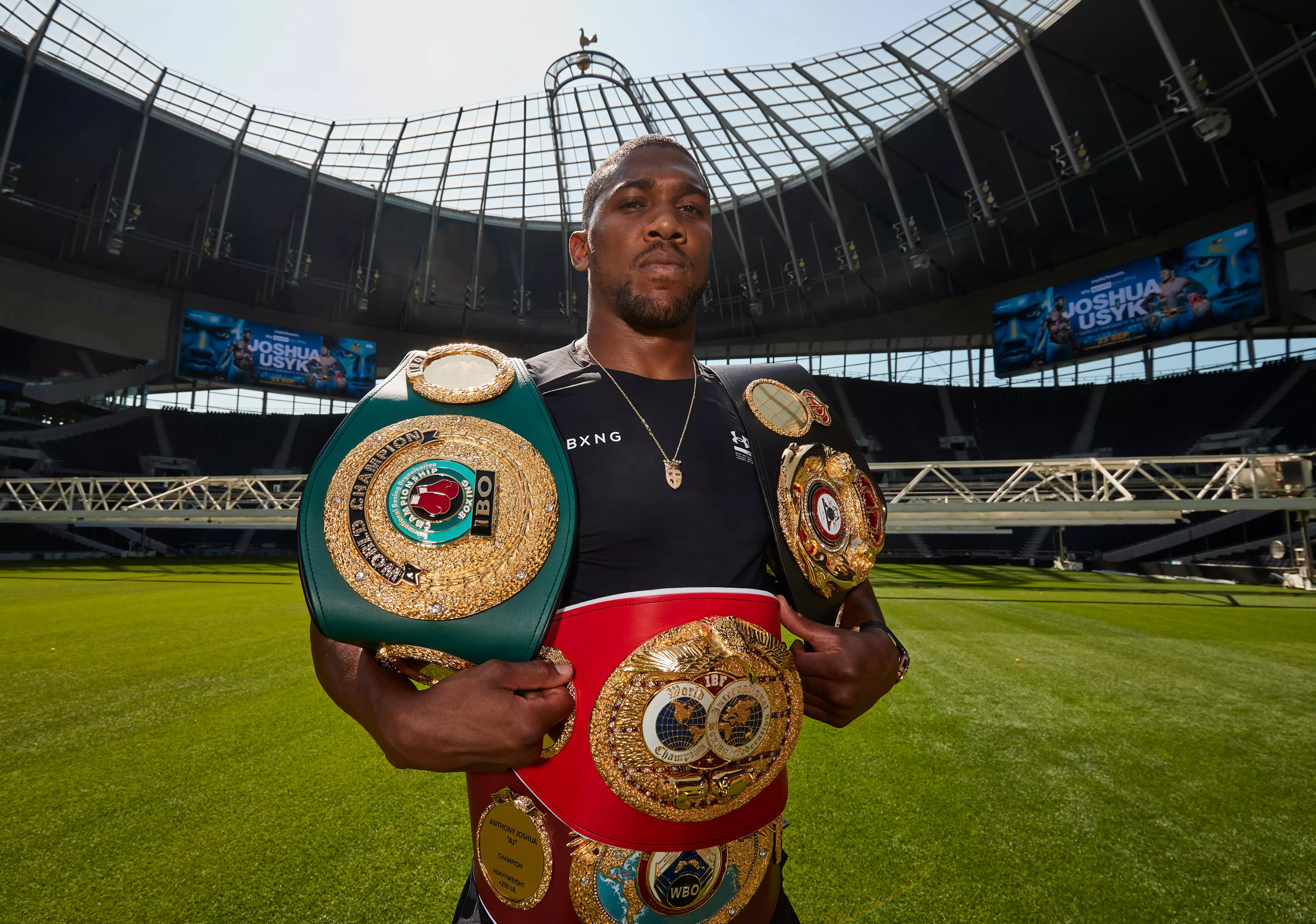 Anthony Joshua will put his IBF, WBA, WBO and IBO titles on the line against Oleksandr Usyk