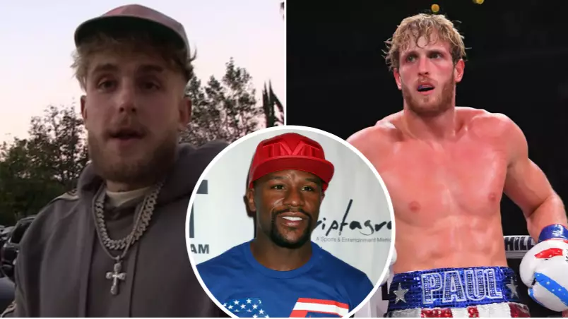 Jake Paul Ruthlessly Savages His Own Brother, Logan, For Fighting Floyd Mayweather