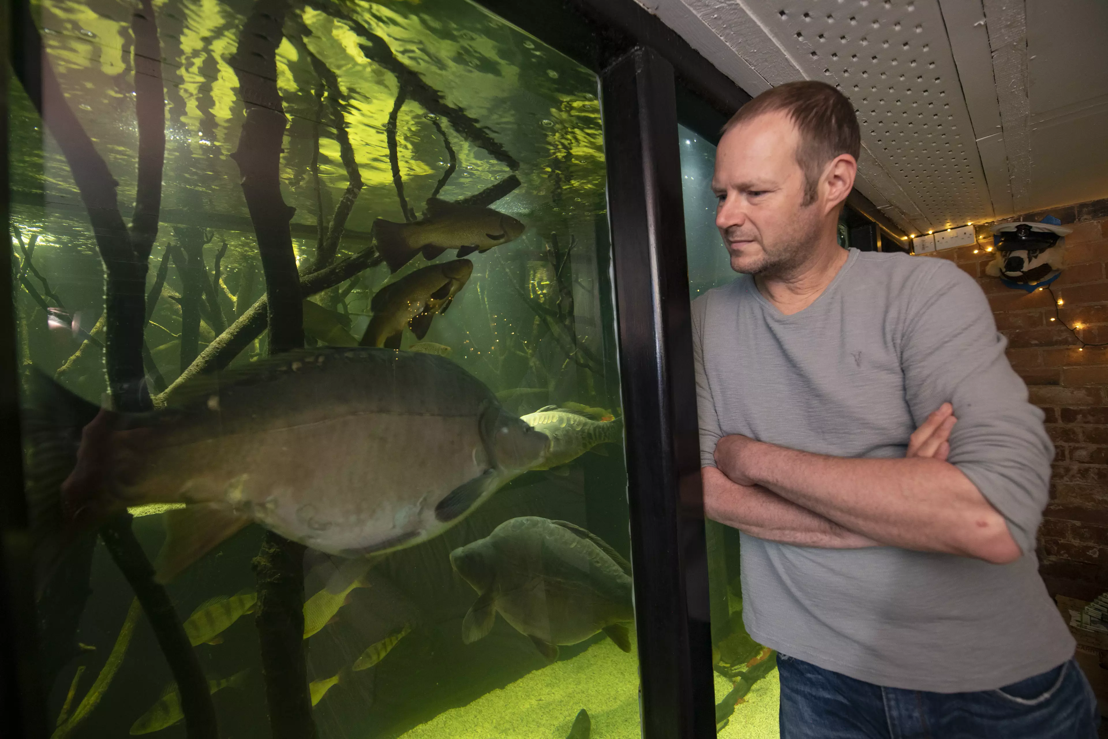 Man Spends £20,000 Turning His House Into Giant Aquarium