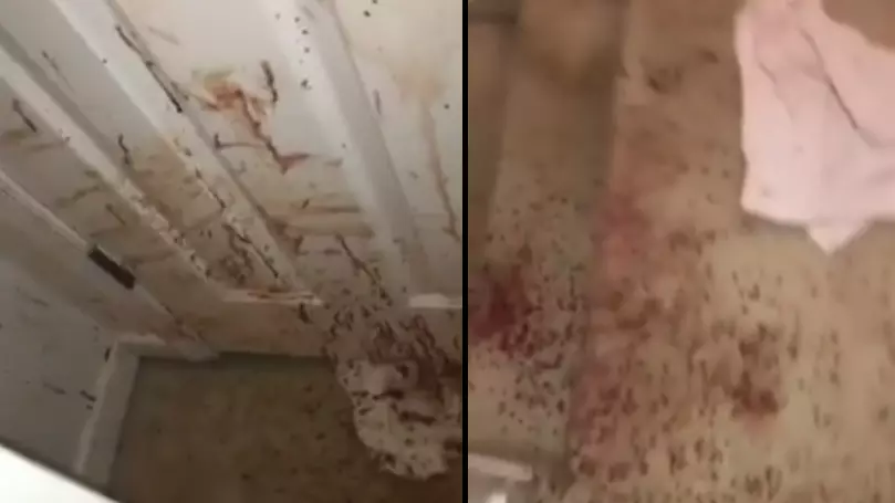Would-Be Thief Sprays House In Blood After Being Attacked By Family Dog 