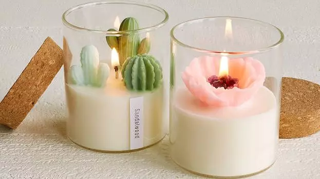 These Terrarium Candles Are Perfect For Plant Mums