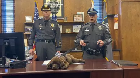 Police Therapy Puppy Sleeps Through His Entire Swearing-In Ceremony
