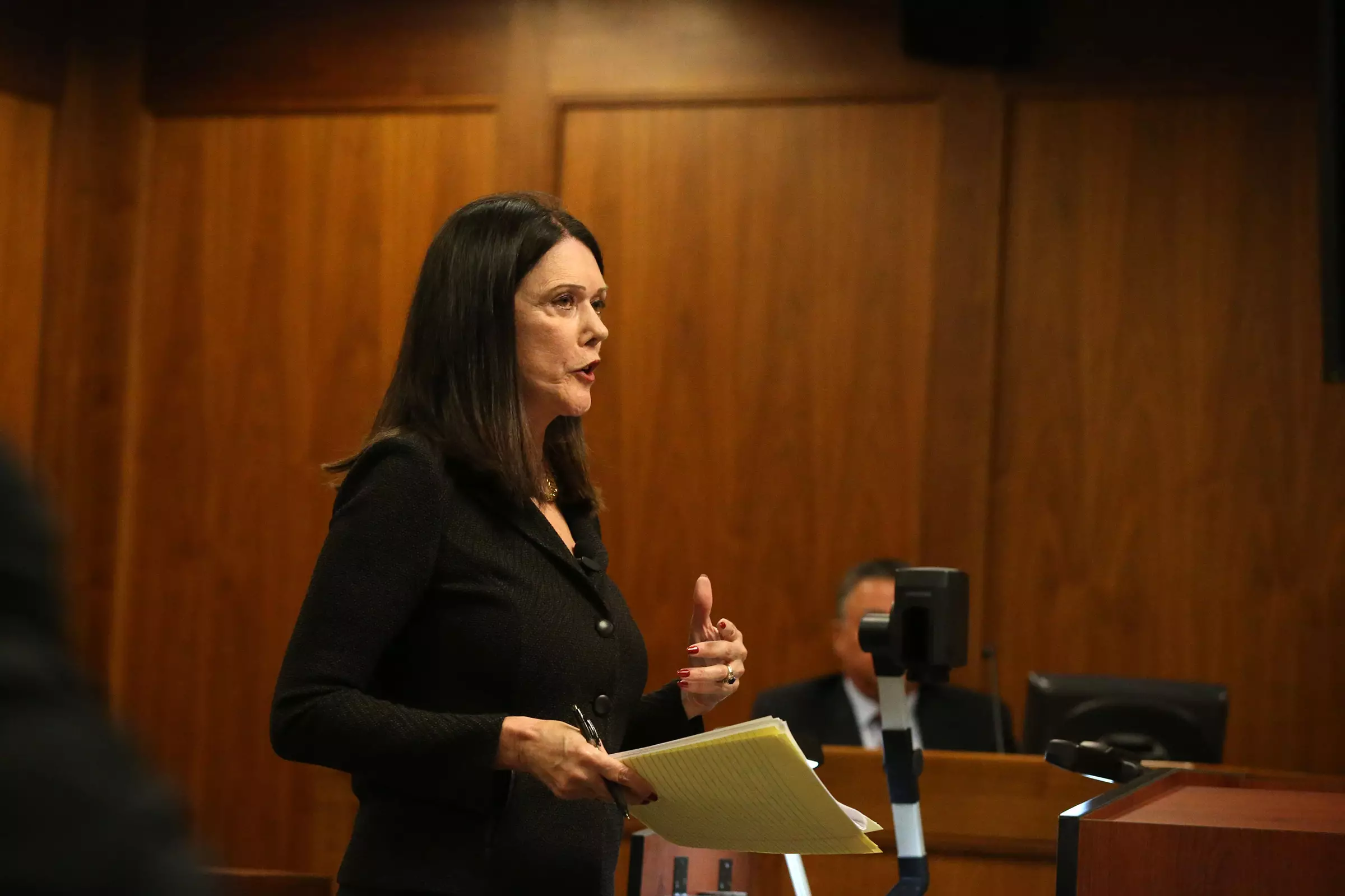 Ms Zellner in court for a different matter.