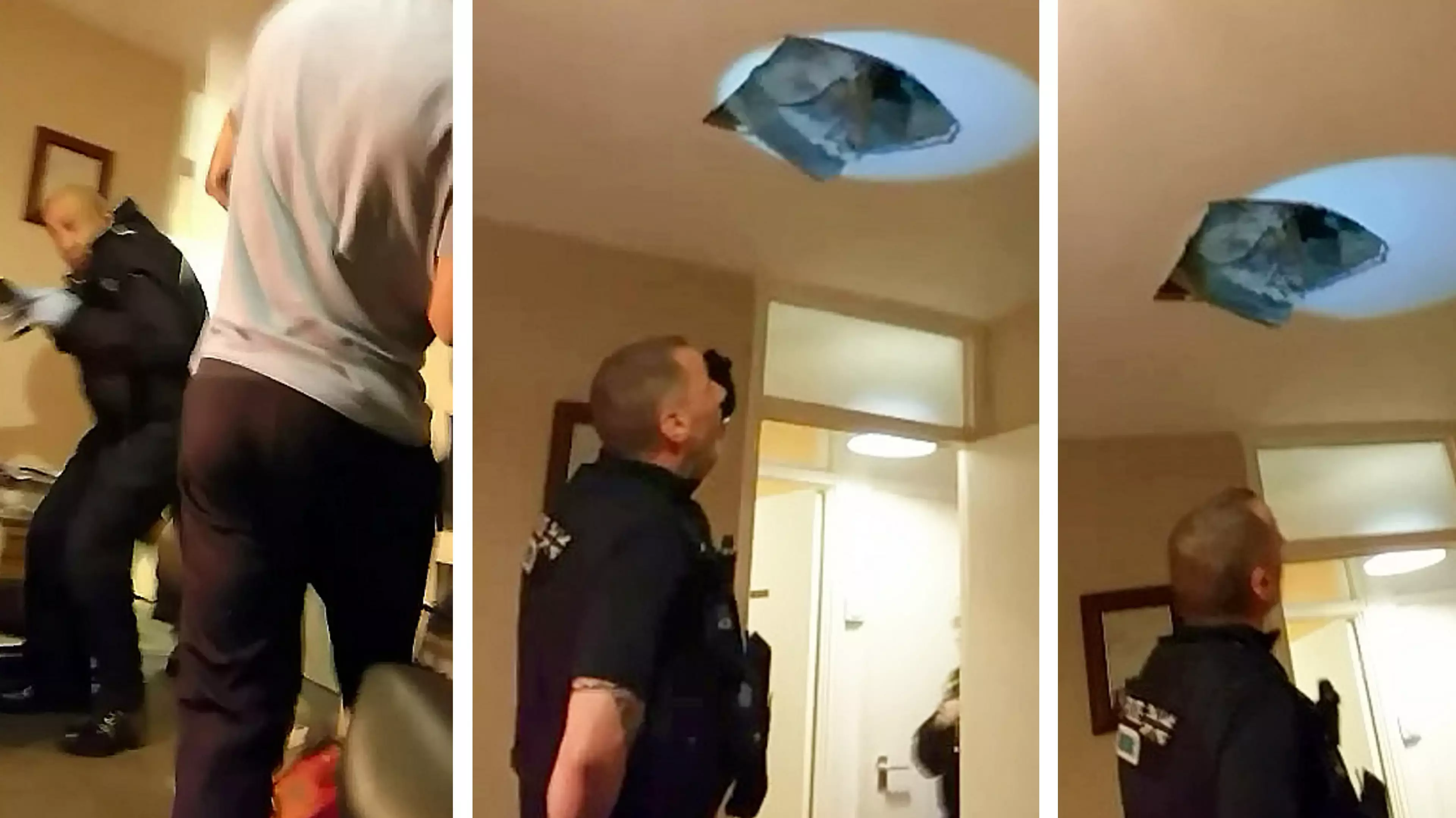 Footage Shows Hiding Suspect Falling Through Ceiling Onto Police Officers