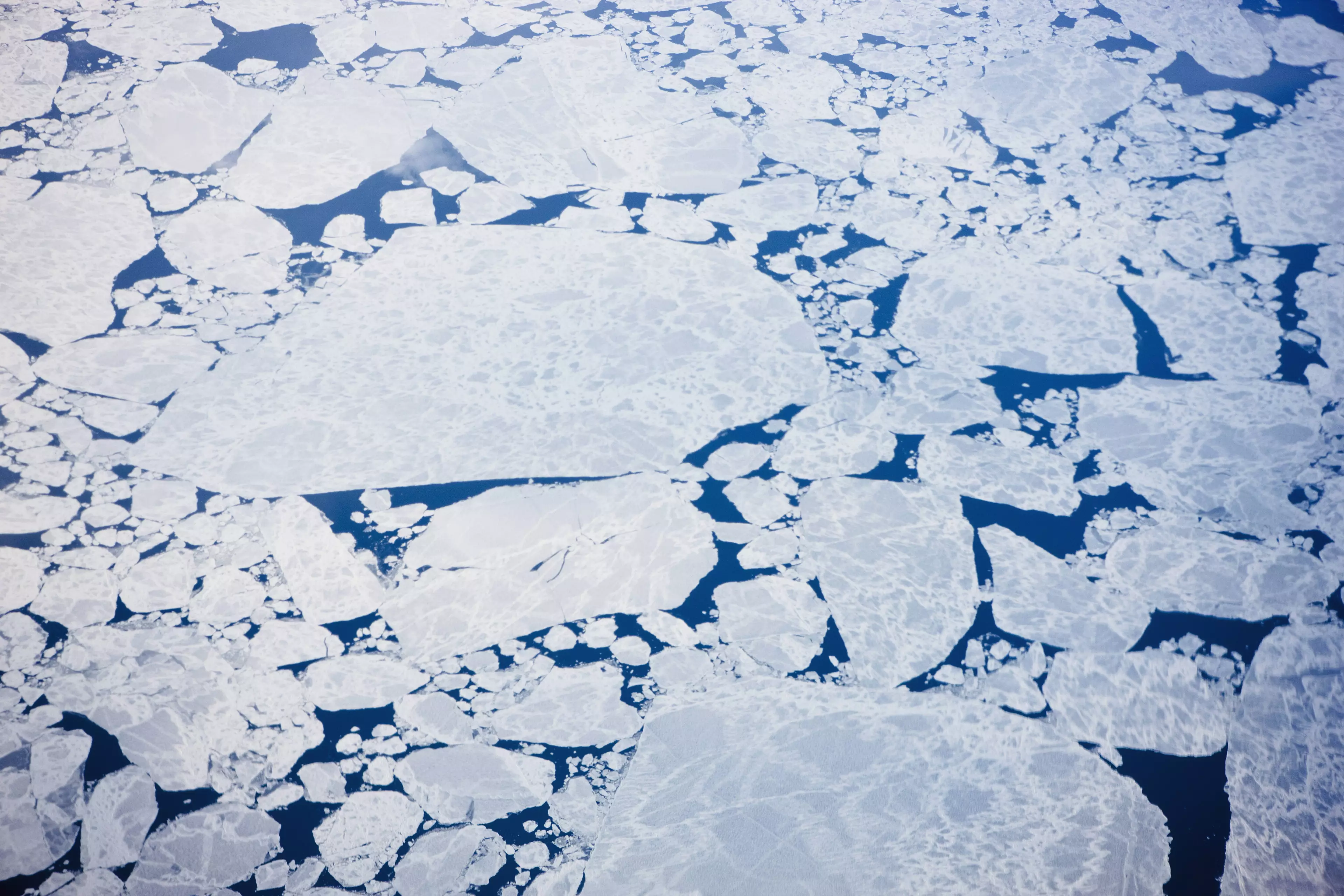 Sea ice in winter back in 2008.
