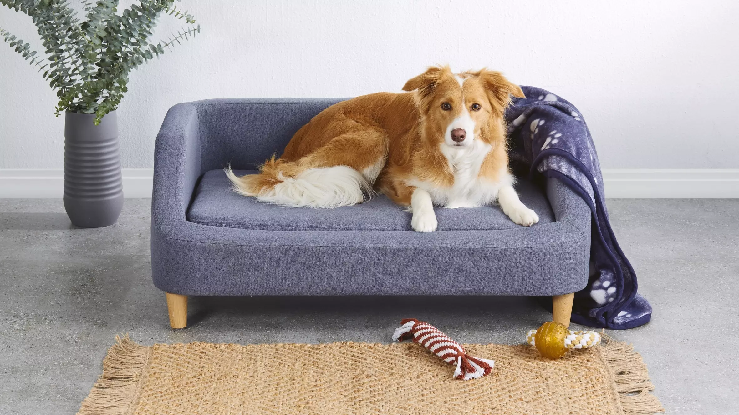Aldi Australia Is Selling Dog-Sized Couches So That Your Pet Can Stay Off Your Sofa