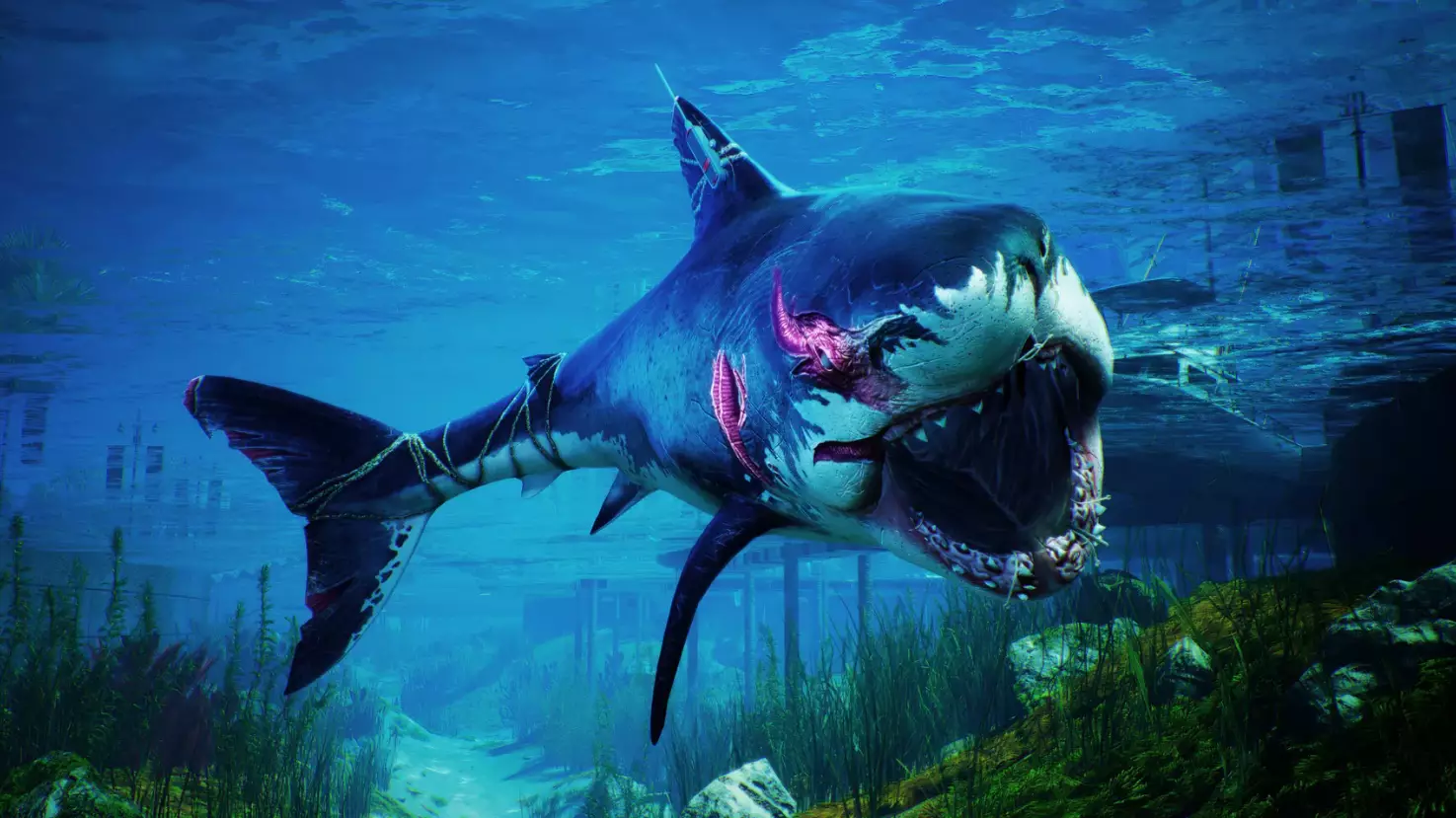 Shark Game Maneater Is Out Now On PS4 Xbox One And PC