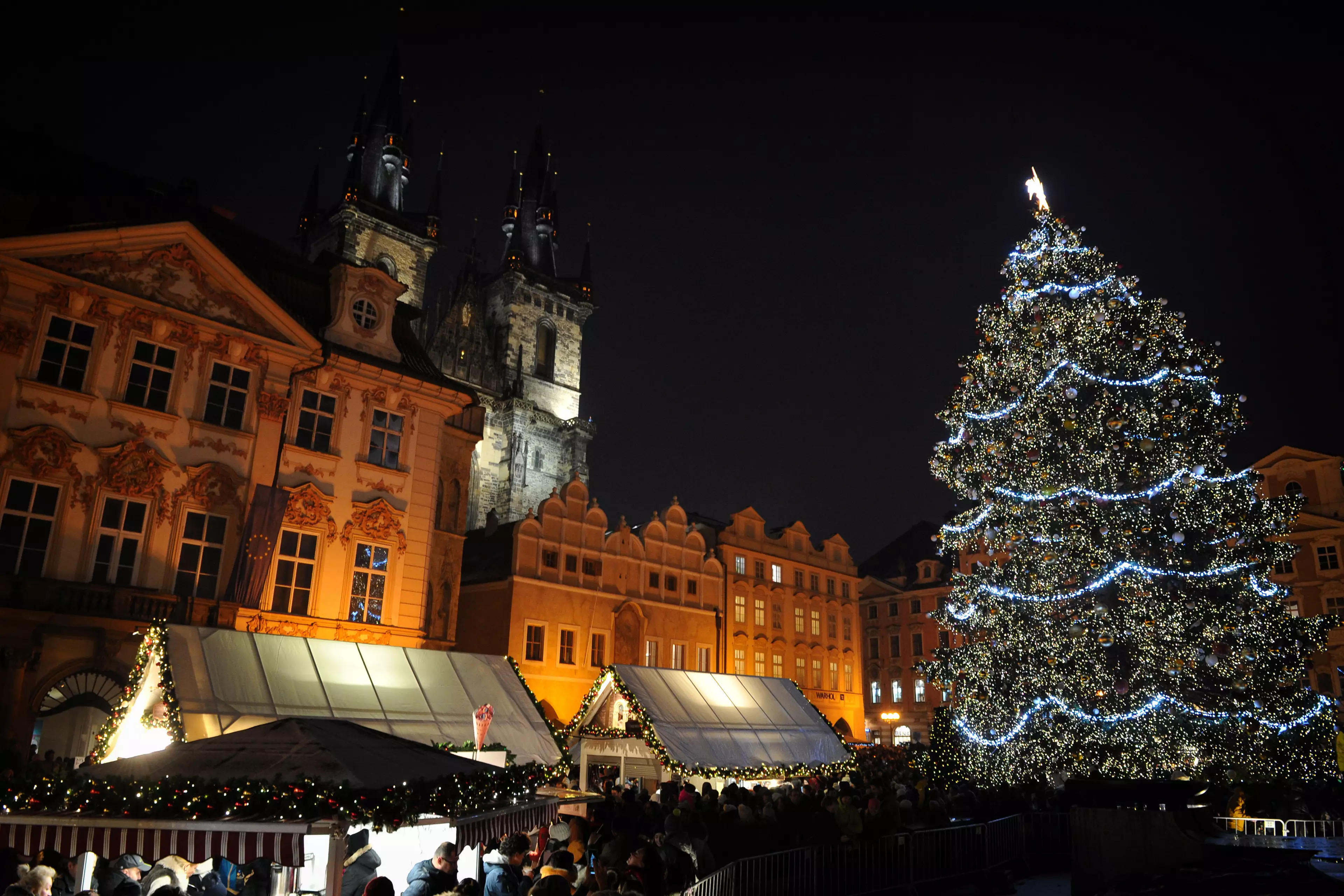 Prague Christmas Market features a massive tree draped in lights
