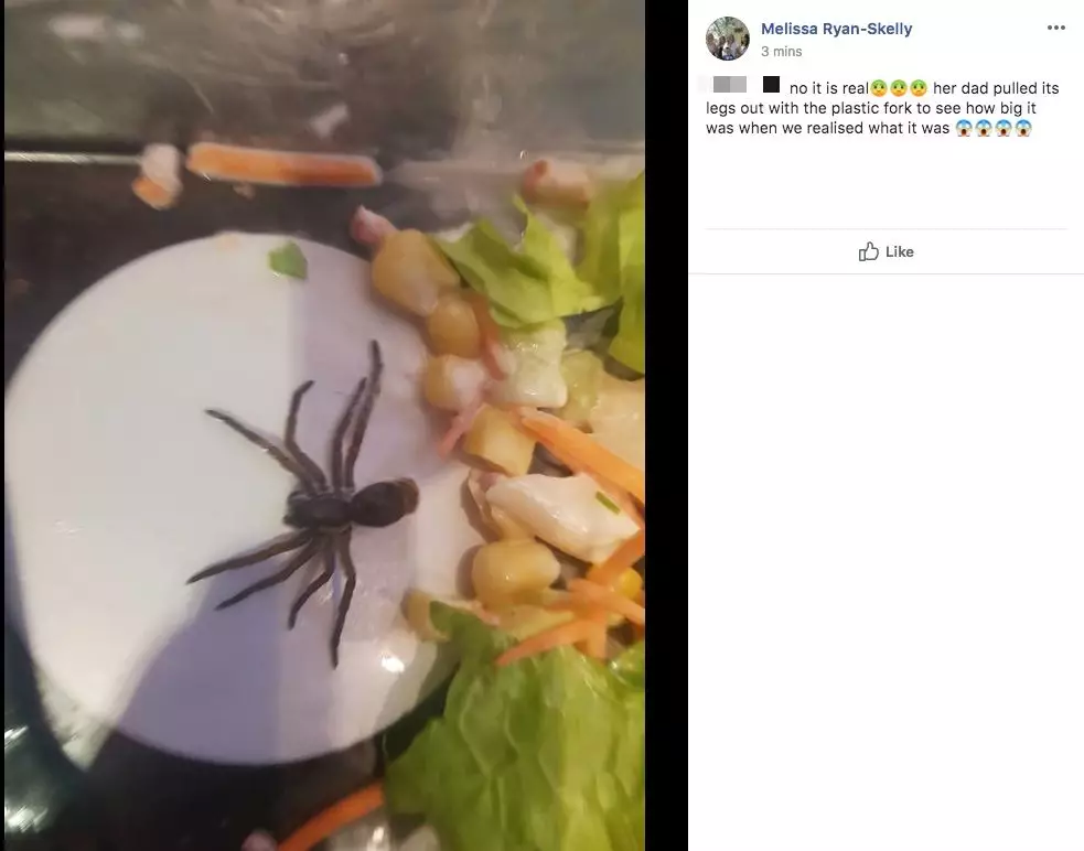 Mum claims to have spotted giant spider lurking at the bottom of her daughter's salad.