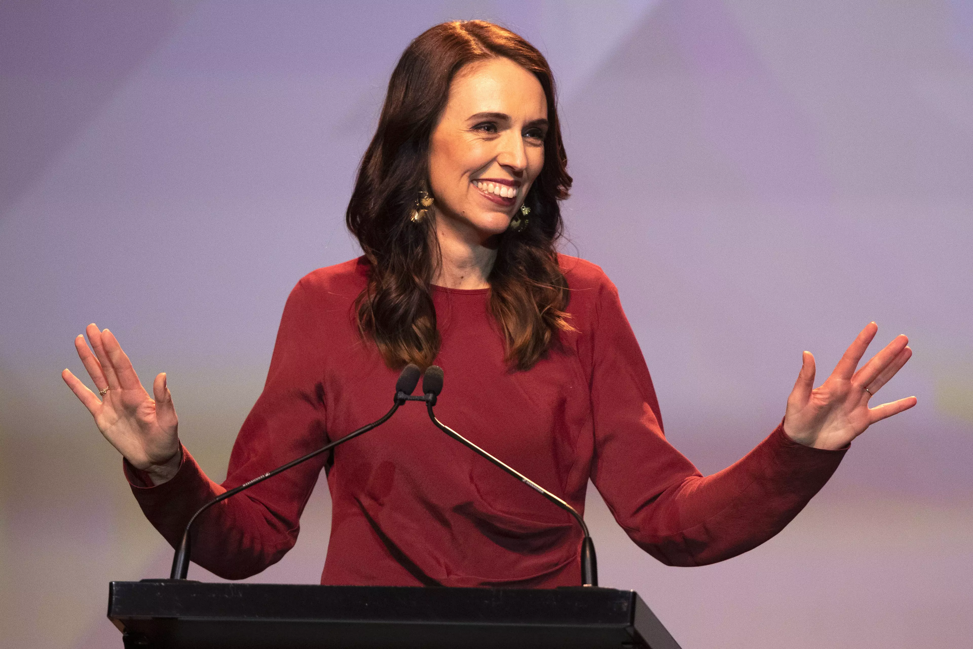 The New Zealand Prime Minister says her appointments were made on merit (