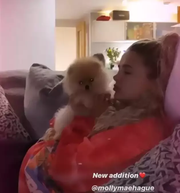 Tommy had gifted the pup to Molly for her 21st birthday (