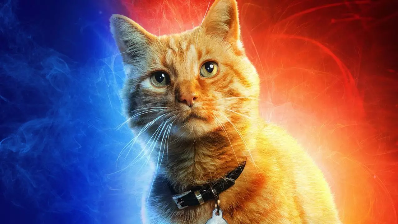 People Are Saying Captain Marvel's Cat Goose Needs Its Own Spin Off