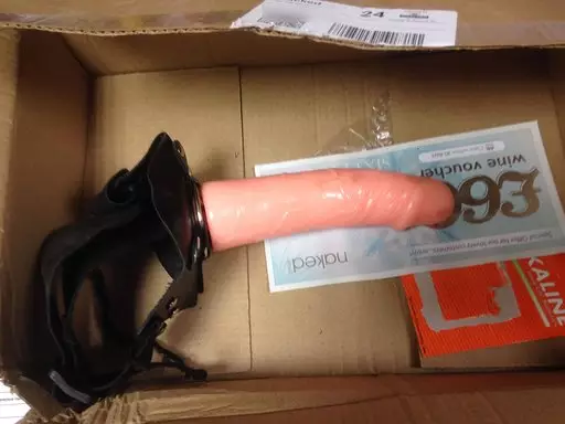 The abandoned sex toy.