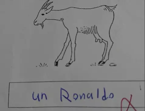 Ahmed Nabil's 'creative' answer in his French exam.