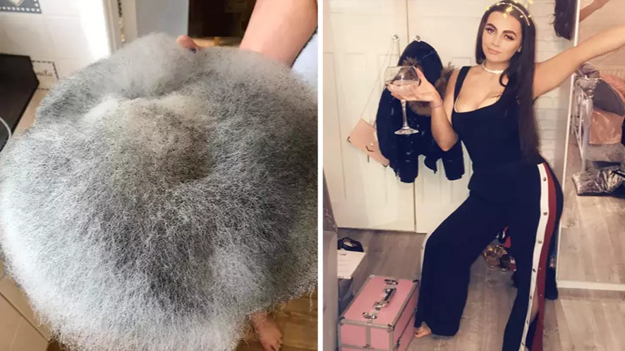 Teen Left Out A Mouldy Plate Of Food So Long It Now Looks Like A Fluffy Cushion