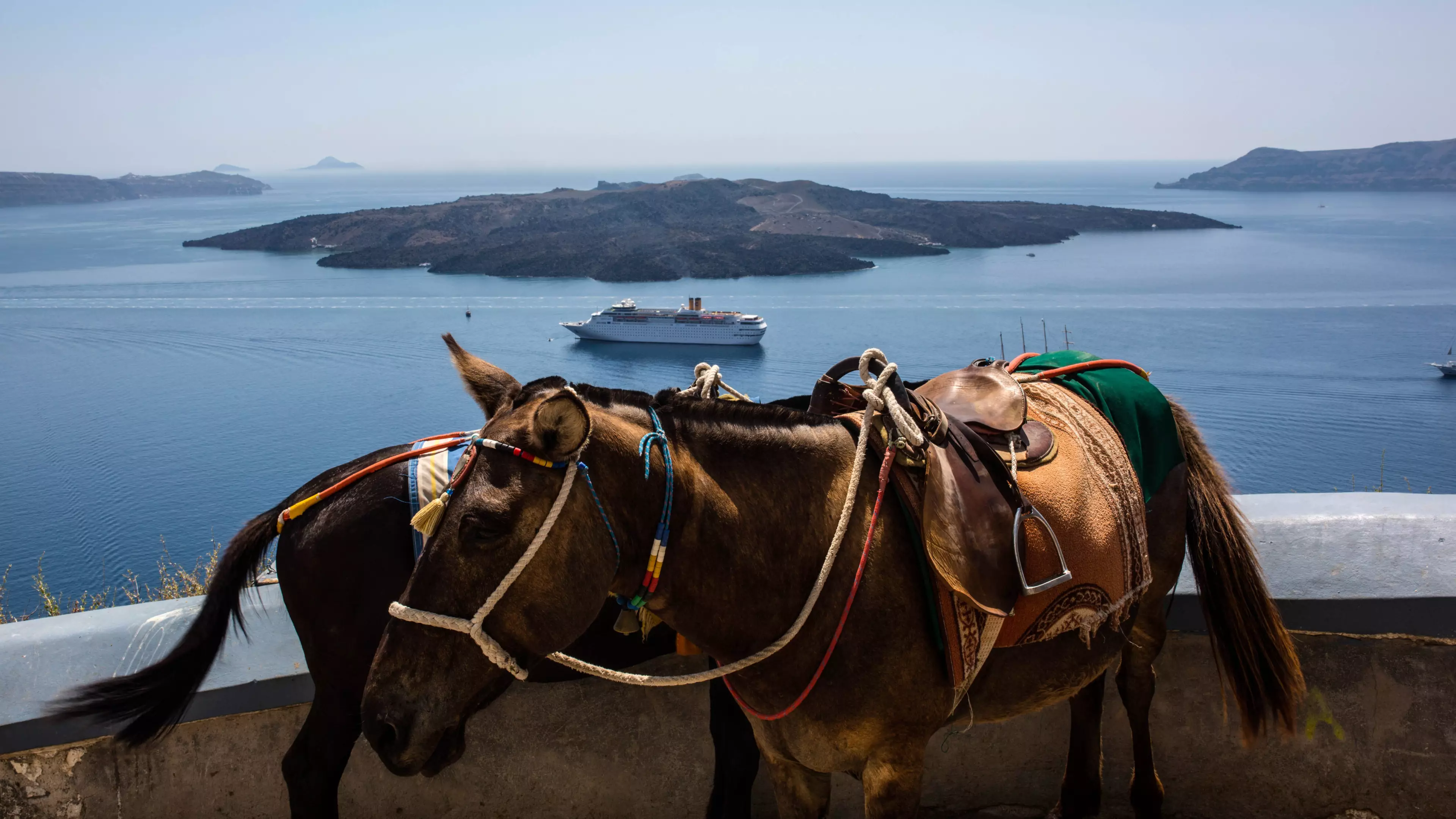 Santorini Launches Campaign To Stop Tourists Riding Donkeys Up Massive Hills