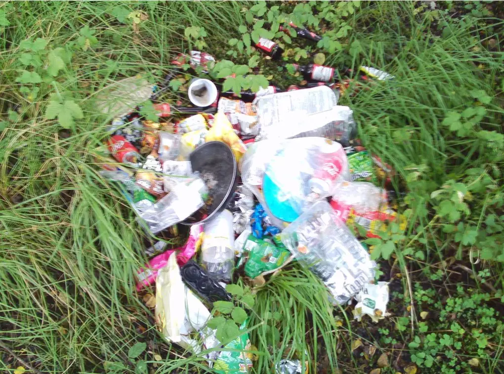 The landowner was greeted by mounds of rubbish regularly.