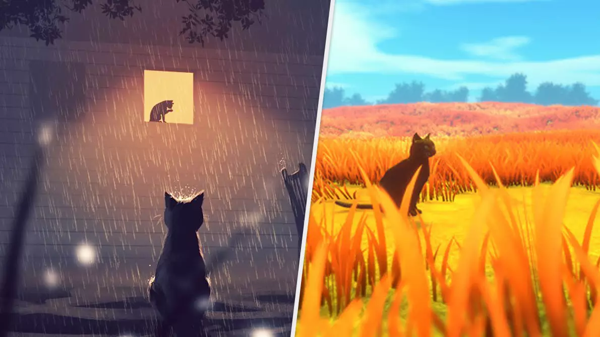 Play As A Cat Abandoned By Her Owners In This Crime Thriller 