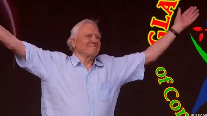 Sir David Attenborough even made a guest appearance at Glastonbury