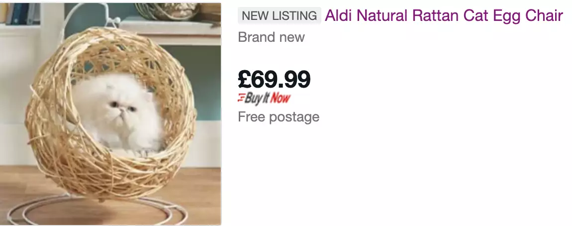 The Aldi cat-sized egg chair is being flogged on eBay for double the price (
