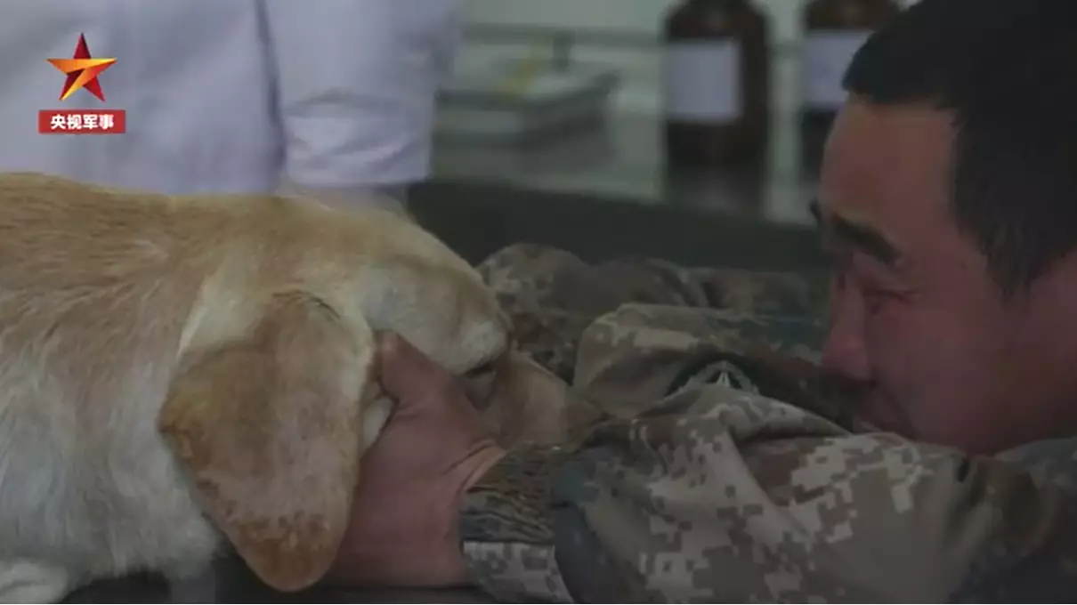 Heartbroken Soldier Breaks Down In Tears As Military Dog Is Put To Sleep 