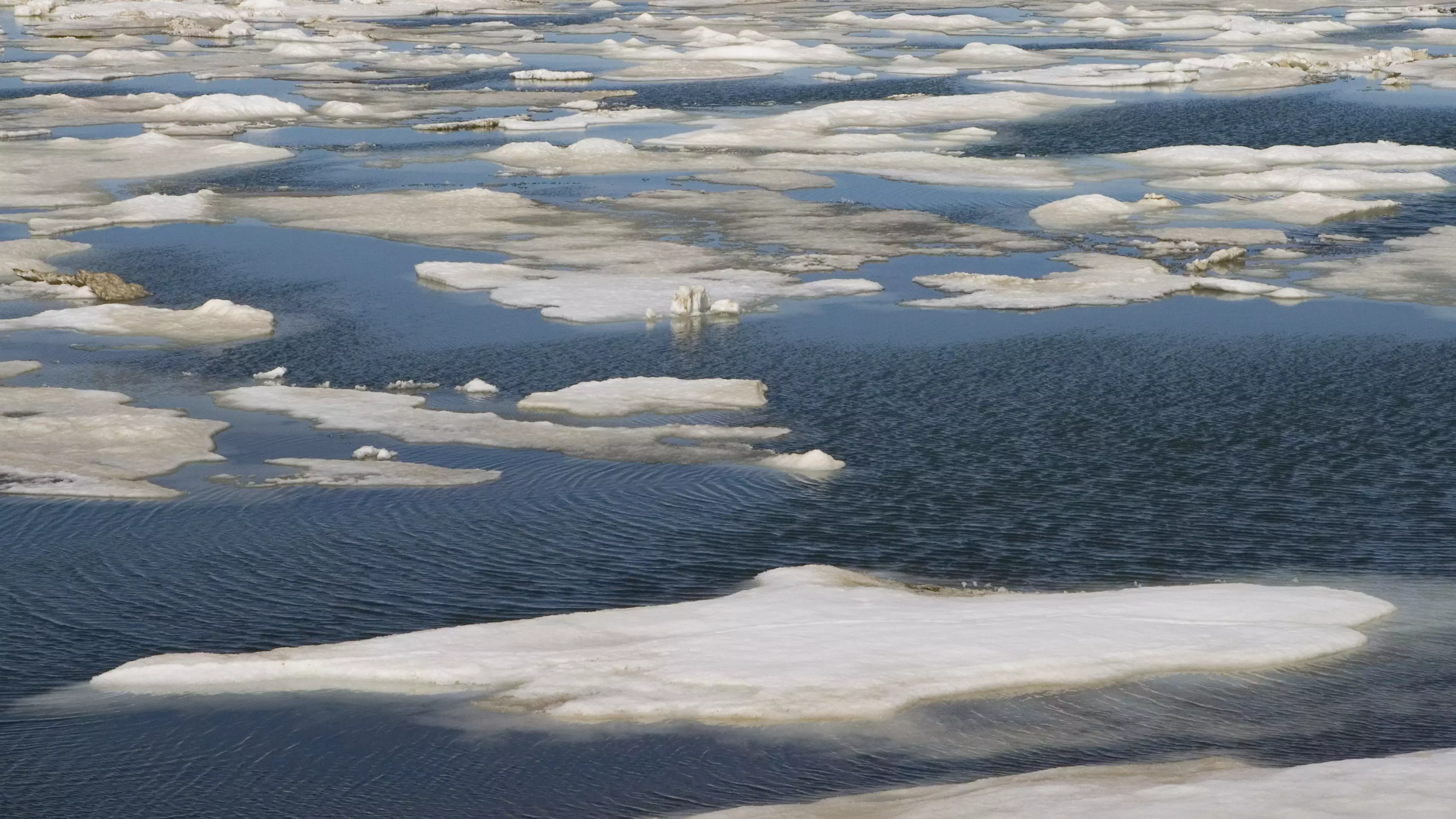 Arctic Sea Ice Declines To Second Lowest Level On Record