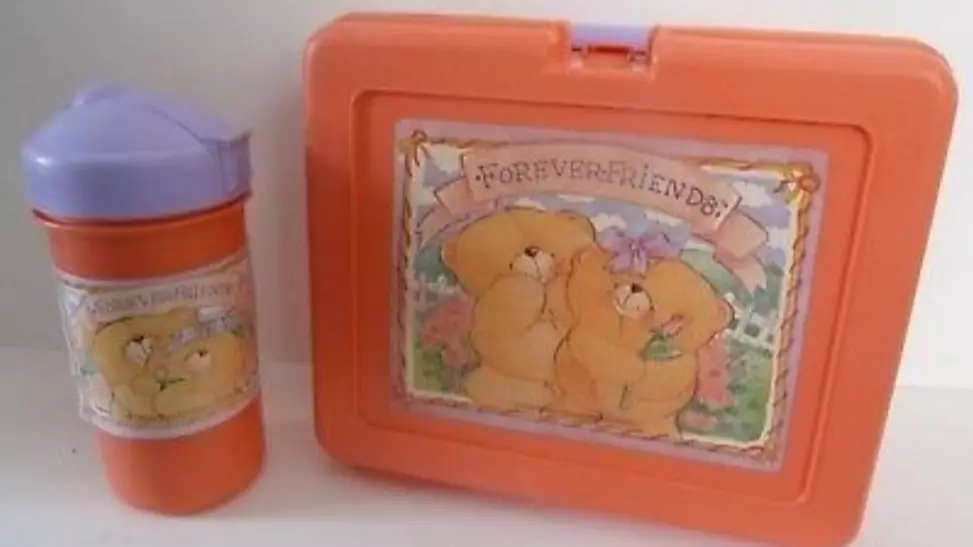 People Are Reminiscing About Their Old School Lunch Boxes From The 90s