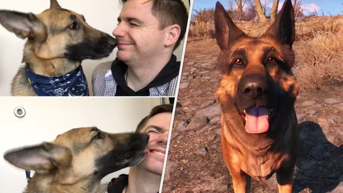 Bethesda Pays Tribute To Fallout Star Dogmeat, Donate $10,000 To The Humane Society