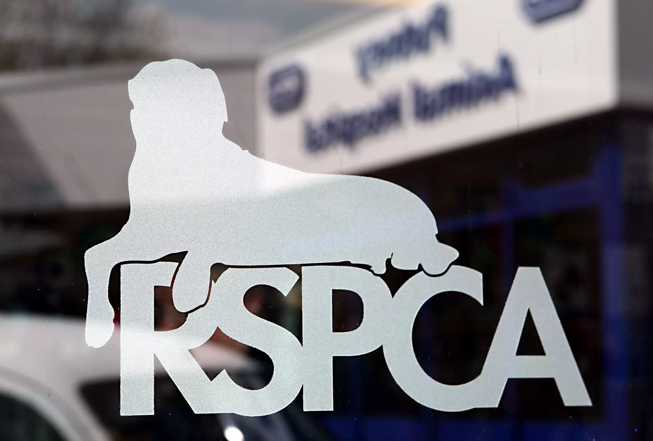 Joshua was prosecuted by the RSPCA (