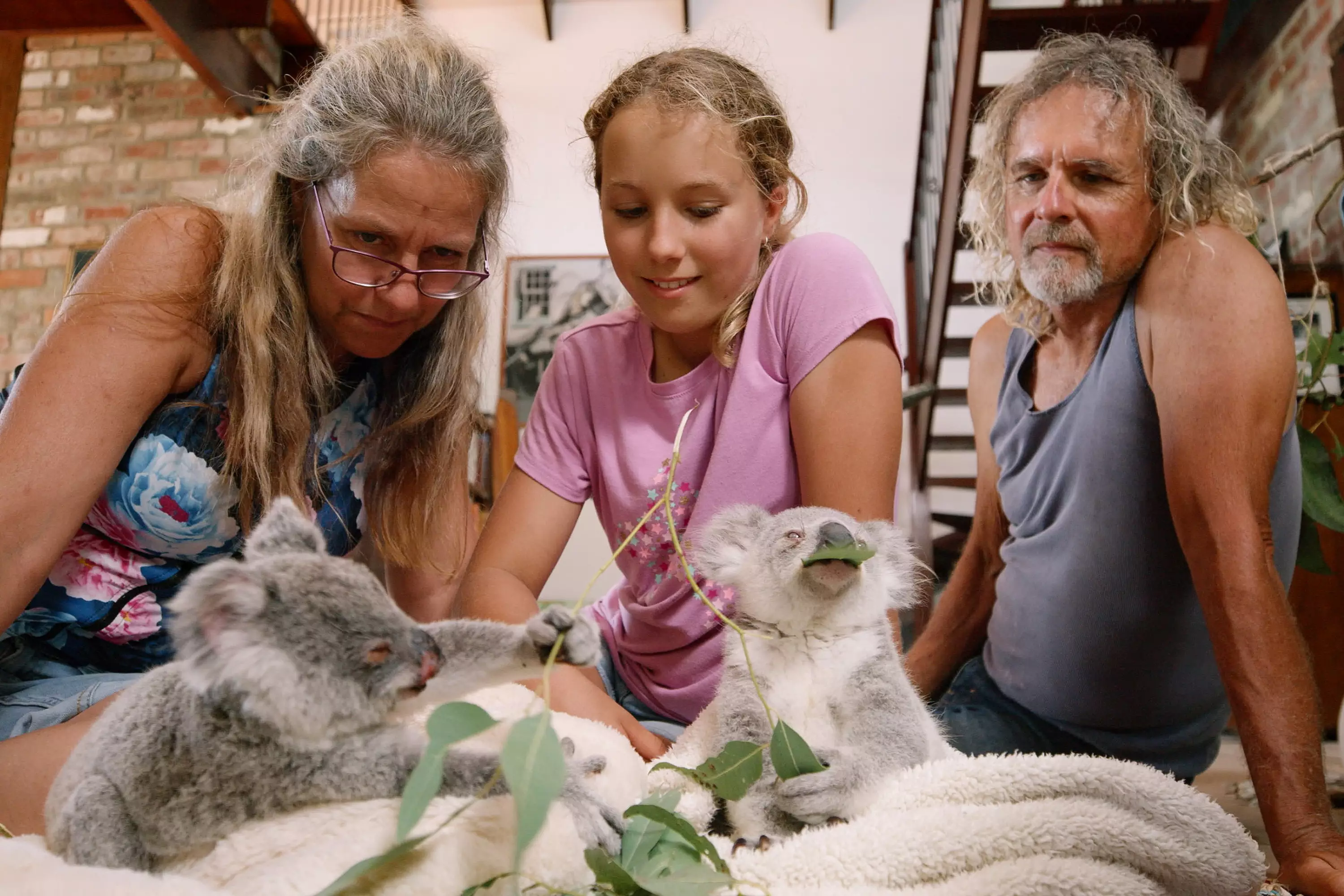 Helping adorable koala bears has always been Izzy's passion (