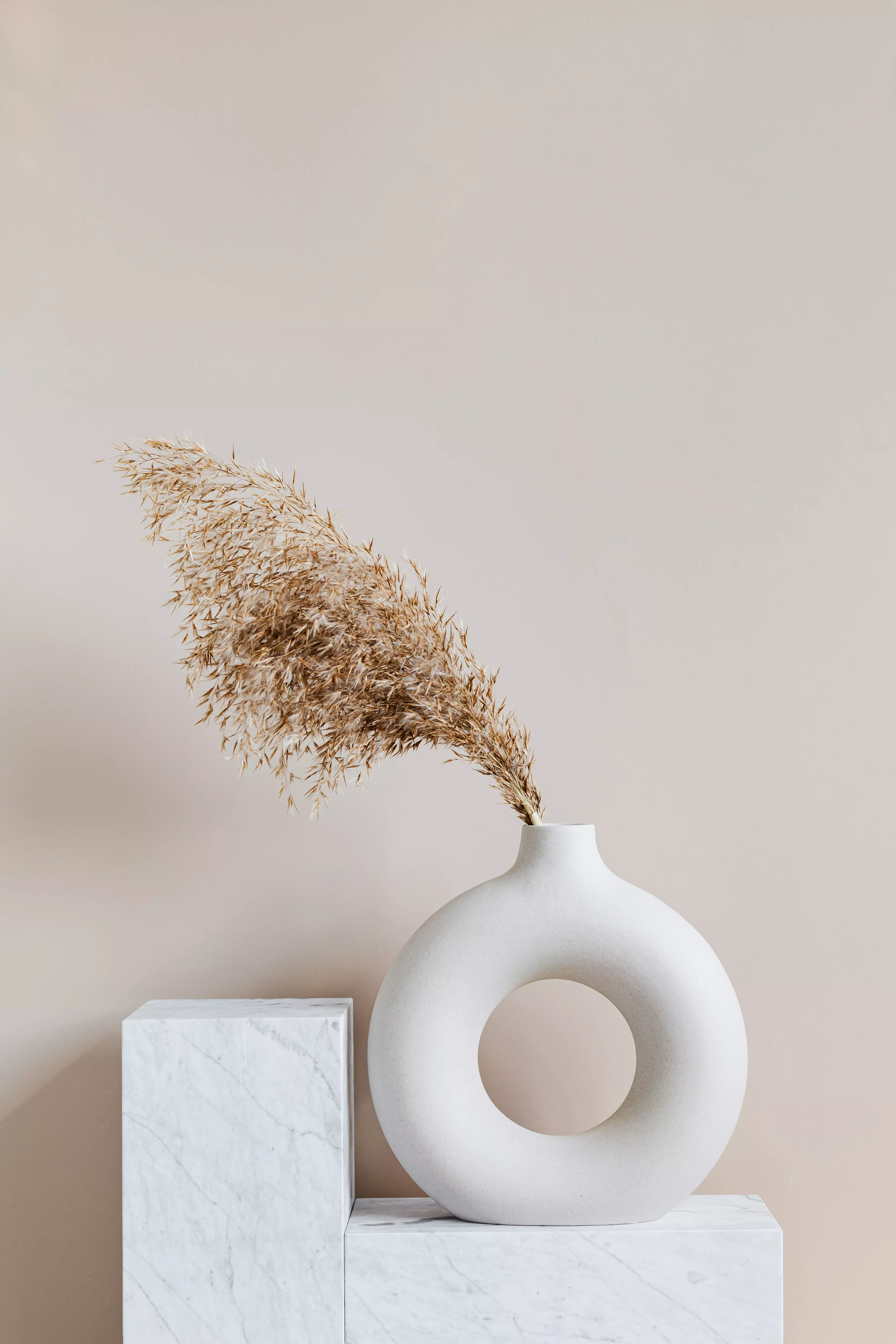 Pampas grass's neutral colouring and soft texture makes it great for home decor (