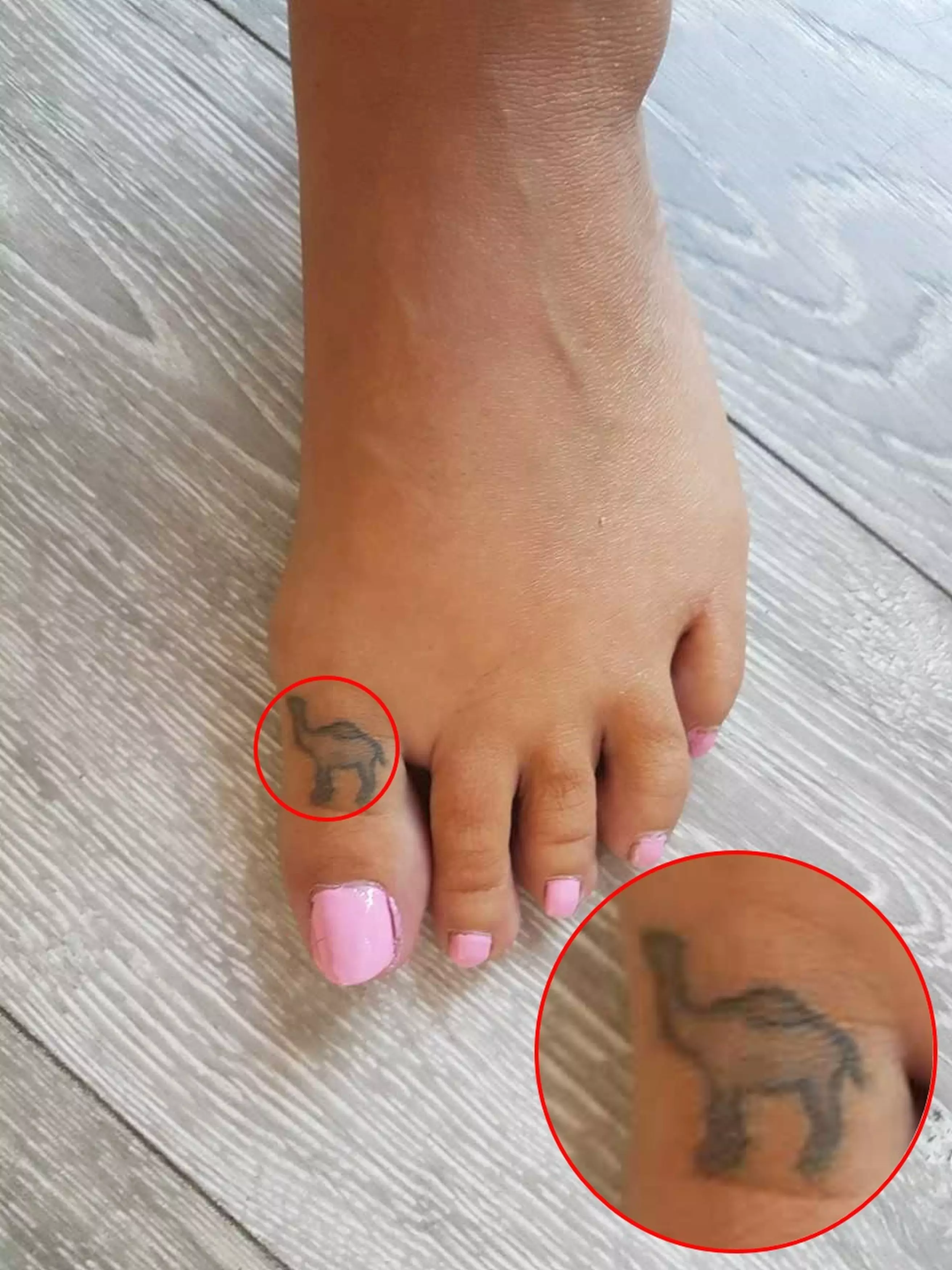 Lisa got a camel tattoo on her toe.