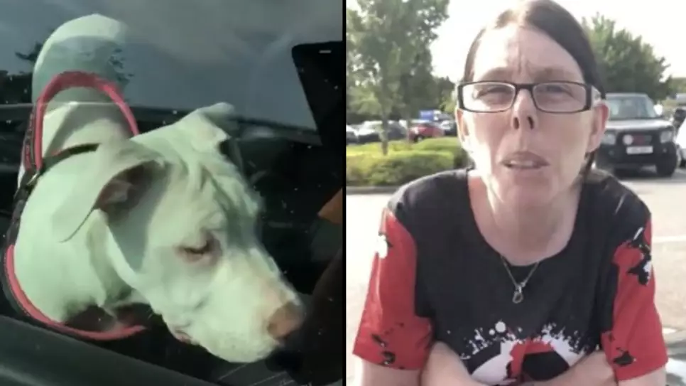 Scaffolder Confronts 'Arrogant Driver' After Saving Two Dogs From Car In '33 Degree' Heat