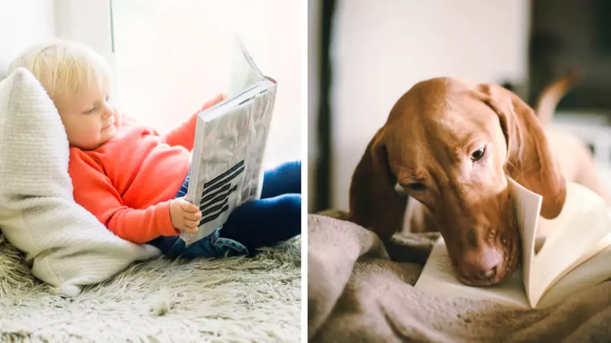 Having A Dog In The Room Helps Children To Read More, Study Shows