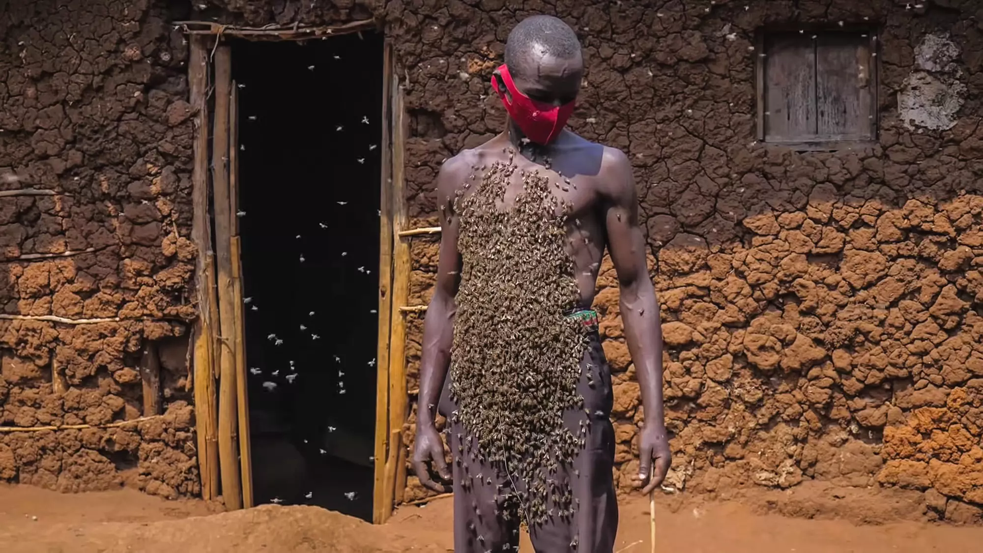 'King Of Bees' With Swarm Around His Body Claims He's Never Been Stung