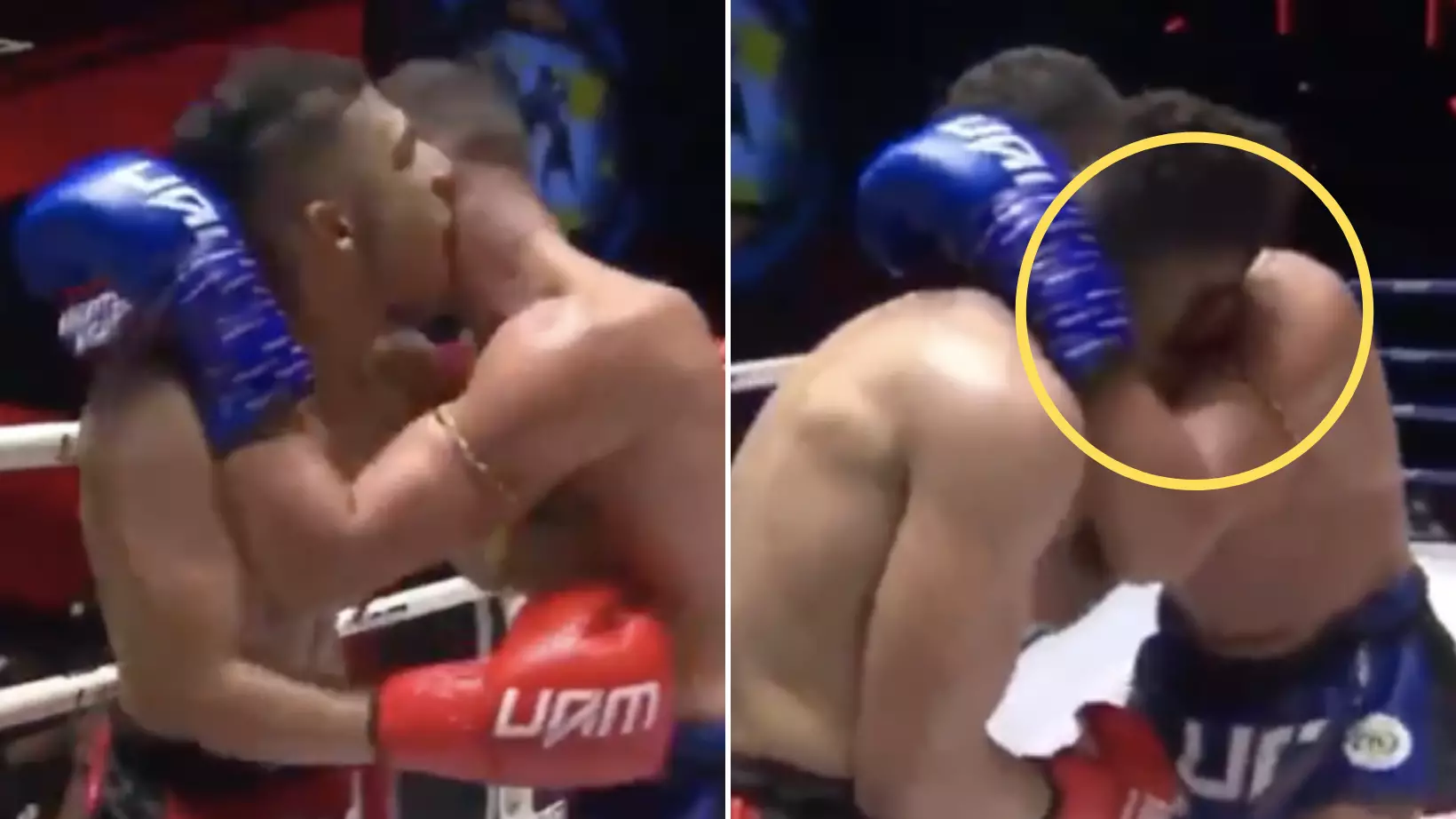 Shocking Video Shows Muay Thai Fighter Channeling His Inner Mike Tyson, Bites Opponent In Extraordinary Scenes