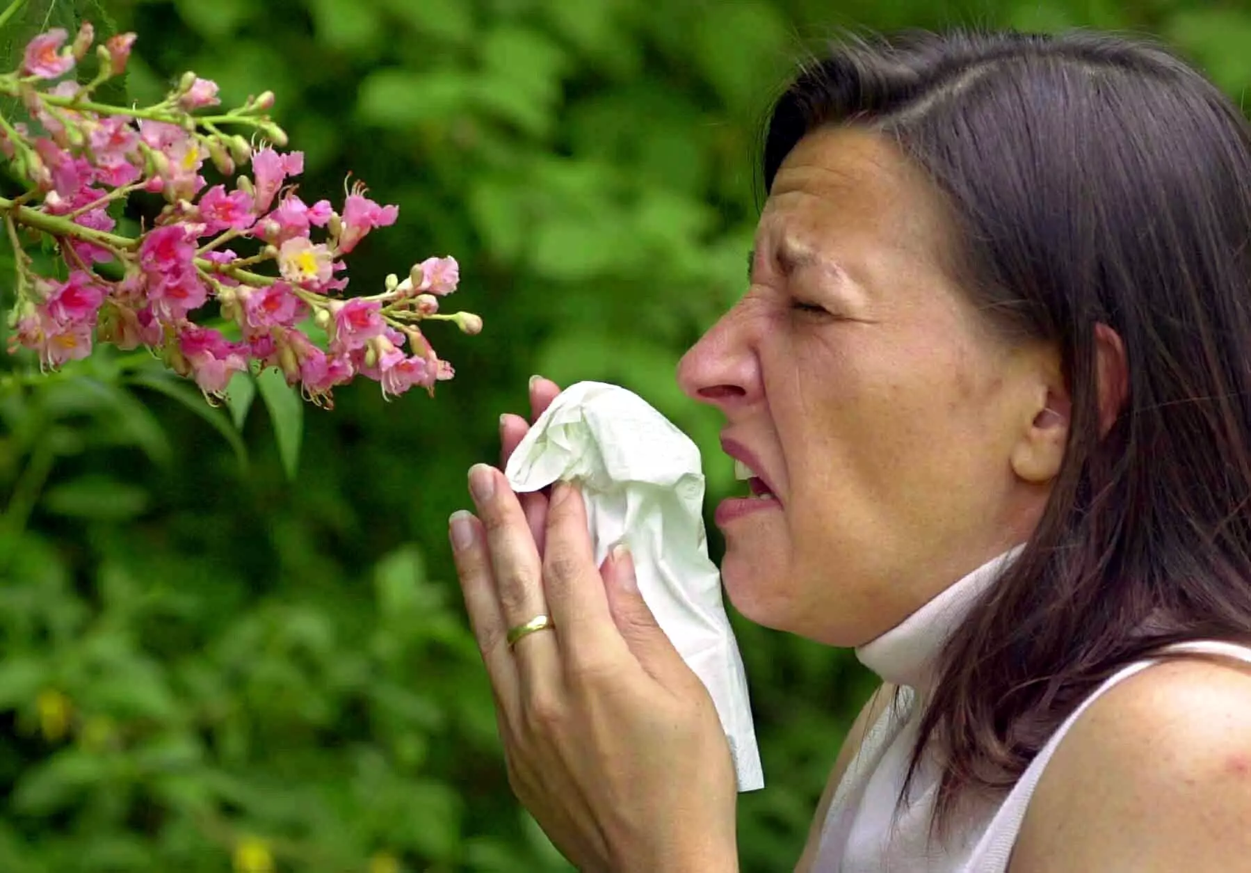 Experts are warning of a 'pollen bomb' set to land on the UK.