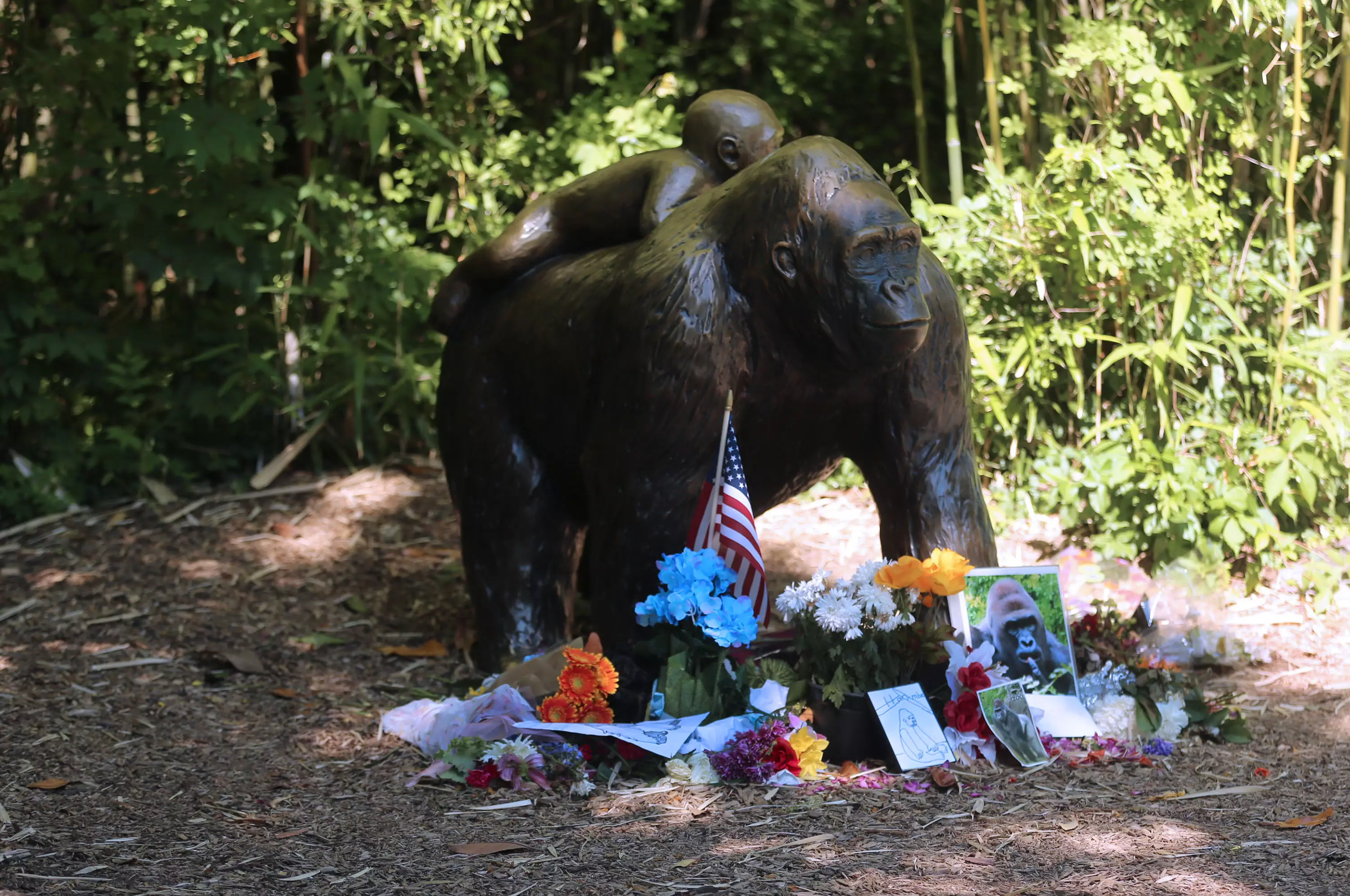 More tributes at the Gorilla World enclosure.