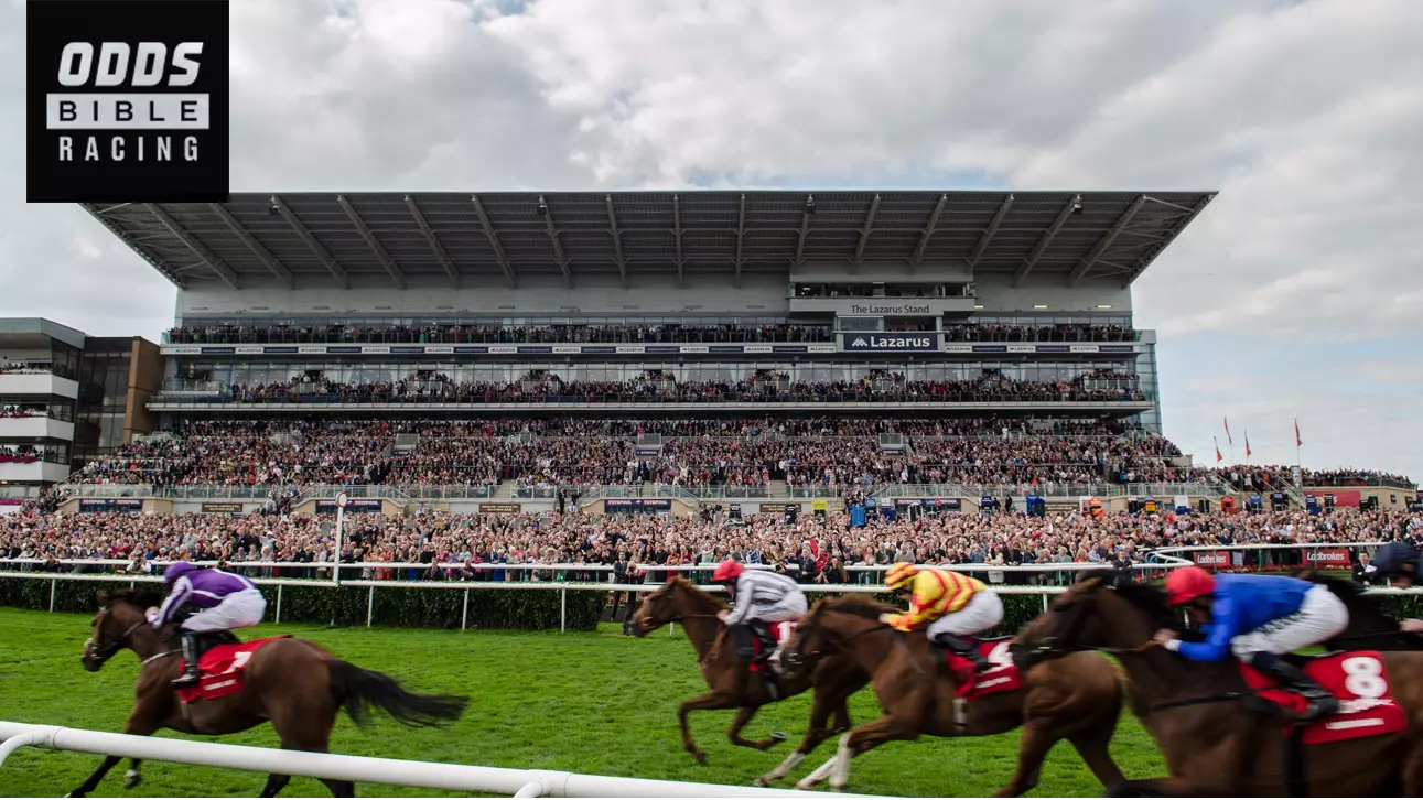 ODDSbibleRacing's Best Bets From Monday's Action At Chelmsford, Roscommon And More