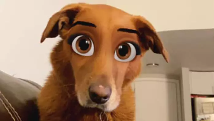 Your Dog Can Become A Disney Star With New Snapchat Filter