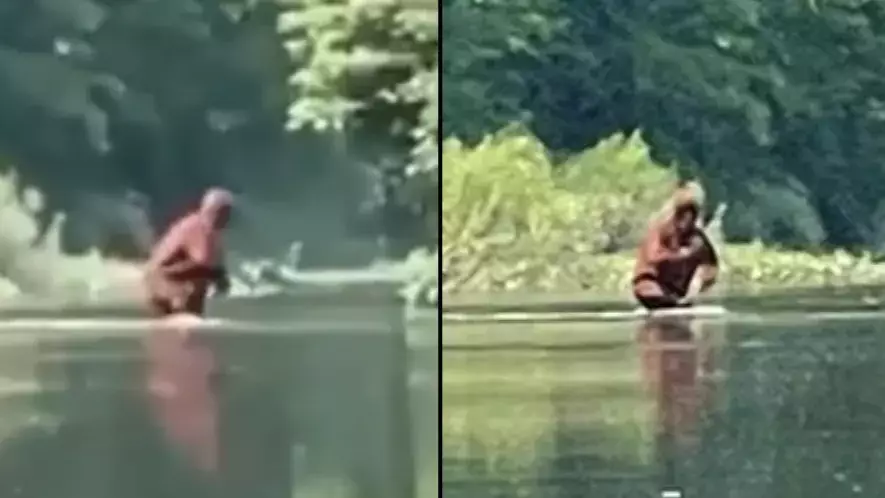 New Bigfoot Sighting Caught On Video Leaves Experts Baffled