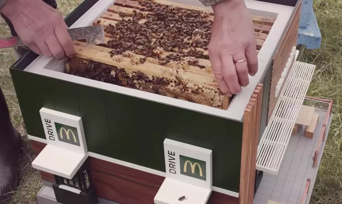 McDonald's has opened its smallest restaurant - which is actually a beehive.